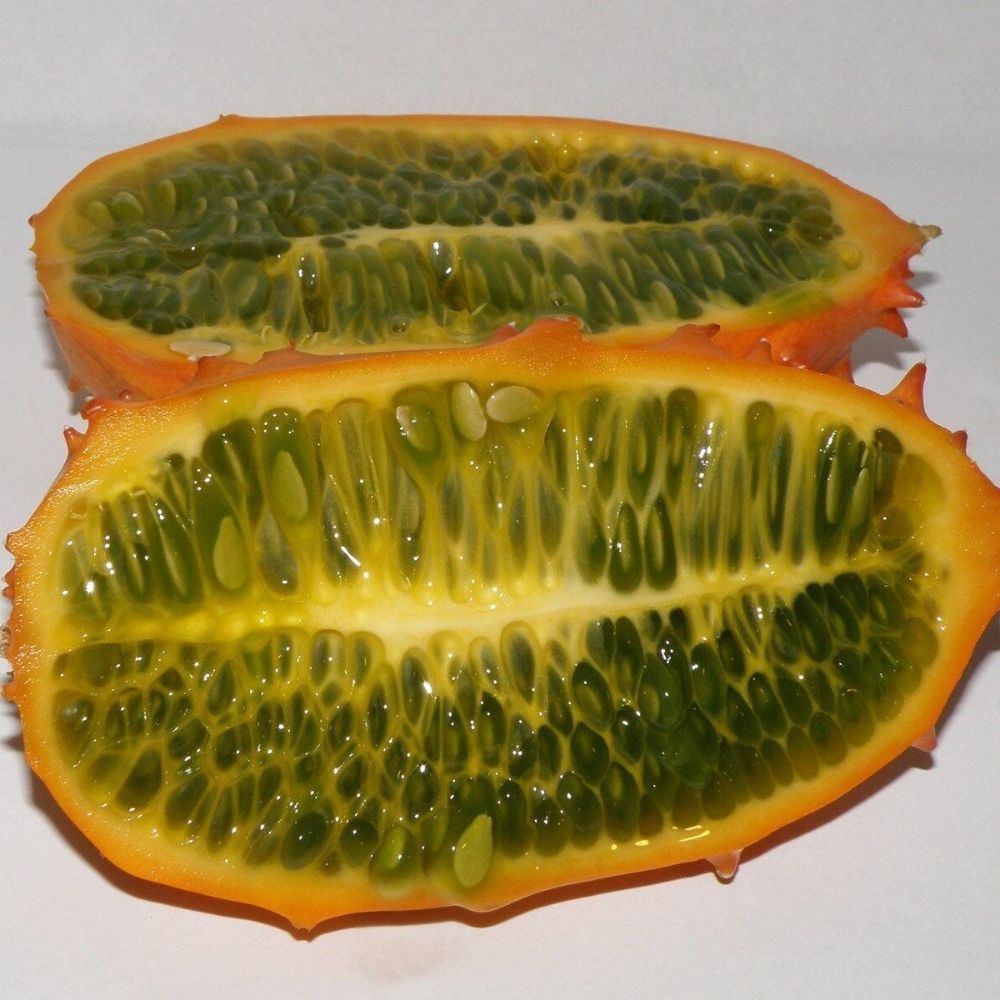 5 Cucumis Metuliferus Kiwano Horned Melon Seeds For Planting | www.seedsplantworld.com