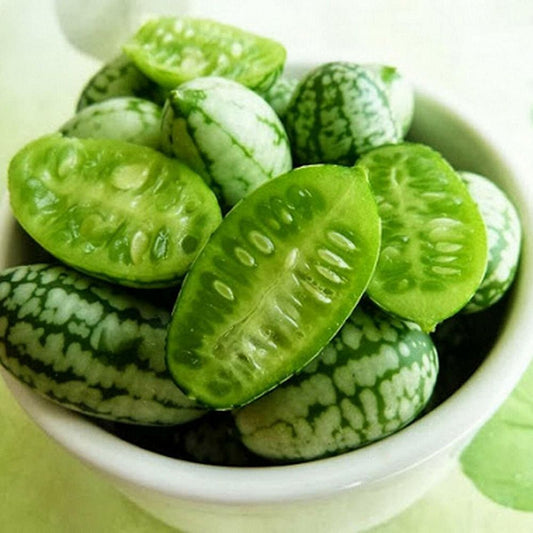 5 Melothria Scabra Cucamelon Seeds For Planting | www.seedsplantworld.com