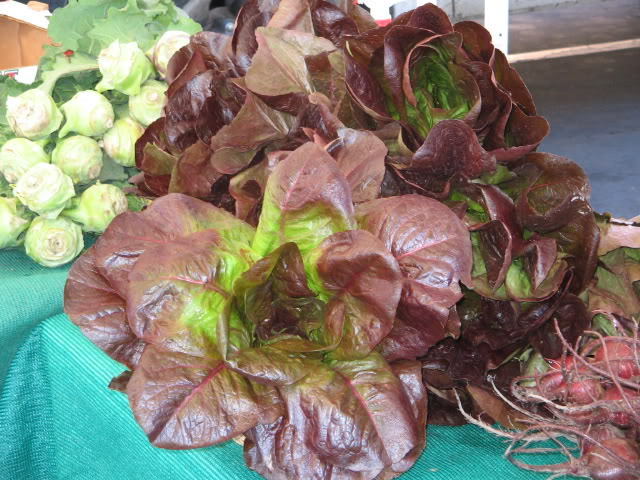 3000 Red Romaine Lettuce Lactuca Sativa Vegetable Seeds | www.seedsplantworld.com