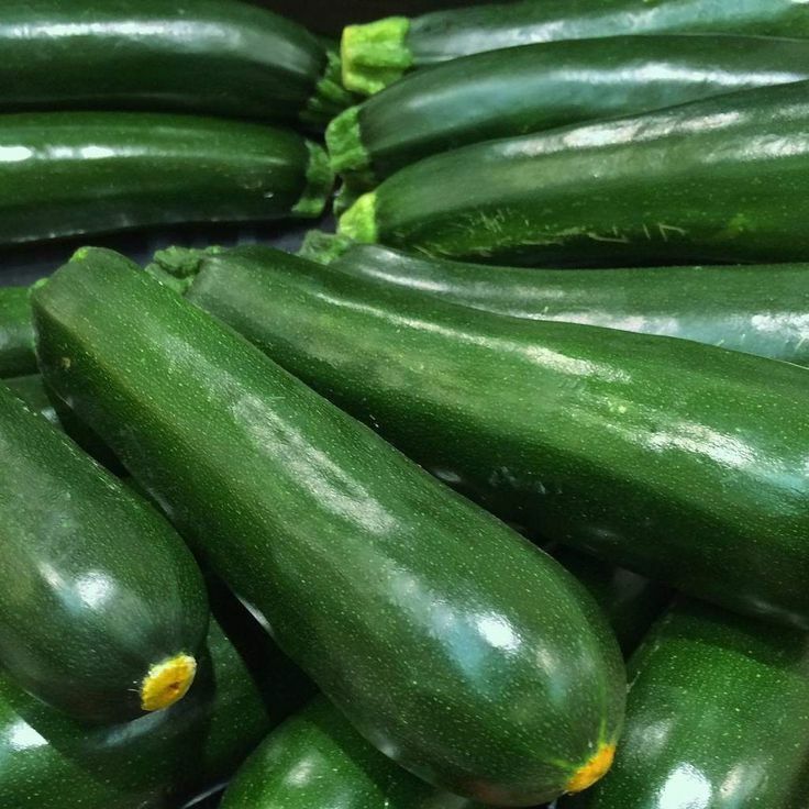 25 Ct Squash Black Beauty Zucchini Summer NON-GMO Vegetable Seeds | www.seedsplantworld.com