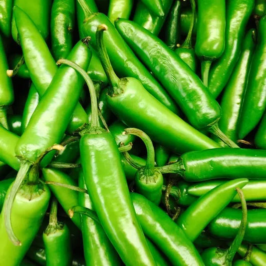 30 Serrano Pepper Seeds Heirloom Non-GMO Vegetable Seed | www.seedsplantworld.com