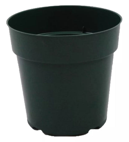 6 Inch Green Round Plastic Pots For Flowers, Herbs & Perennials (200 Pcs) | www.seedsplantworld.com