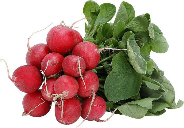 385 Radish Early Scarlet Globe Radish Vegetable Seeds | www.seedsplantworld.com