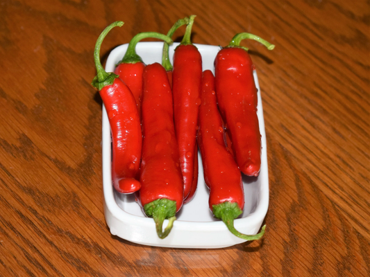 25 Giant Aconcagua Pepper Up To 12" Long Caspsicum Annuum Vegetable Seeds | www.seedsplantworld.com