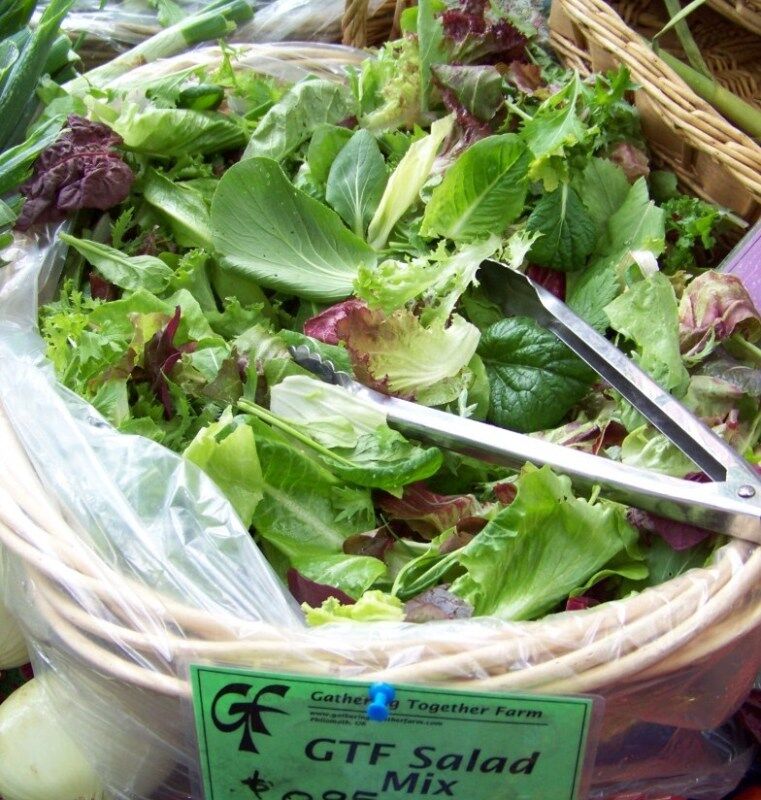 1000 Lettuce Gourmet Lettuce Salad Greens Mix Vegetable Seeds | www.seedsplantworld.com