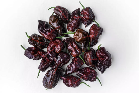 10 Chocolate Carolina Reaper Pepper Worlds Hottest Capsicum Chinense Chili Seeds | www.seedsplantworld.com