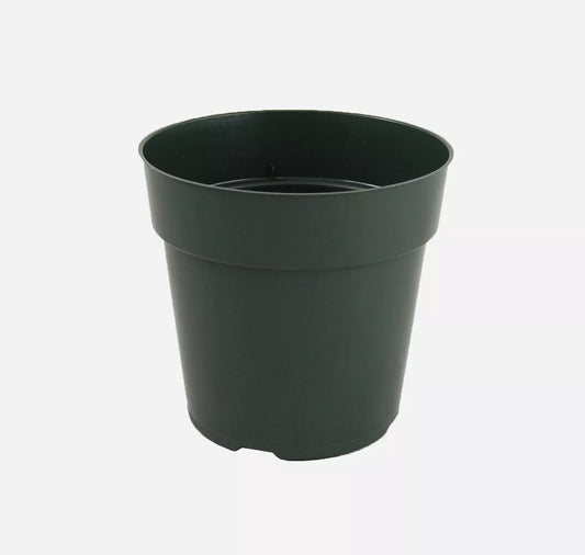 6 Inch Green Round Plastic Pots For Flowers, Herbs & Perennials (200 Pcs)