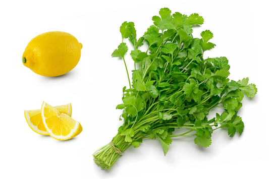 25 Organic Dwarf Lemon Cilantro Coriander Spice Coriandrum Sativum Herb Seeds | www.seedsplantworld.com