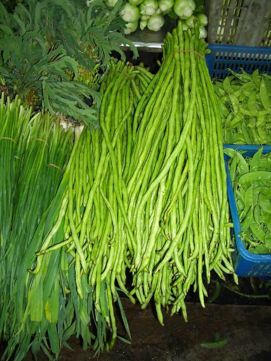 15 Bean Yard Long Beans Pole Type Green Vegetable Seeds | www.seedsplantworld.com