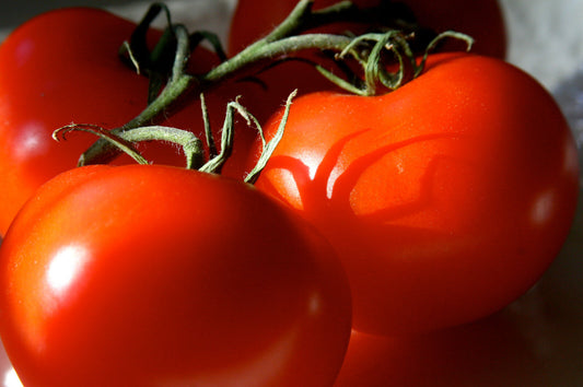 200 Red Rutgers Tomato Lycopersicon Globe Determinate 8 Oz Fruit Vegetable Seeds | www.seedsplantworld.com