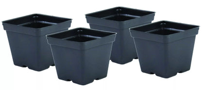 Square Pots 4.25" P107 Greenhouse Growing Vegetables, Flowers, Seeds (100 Pcs) | www.seedsplantworld.com