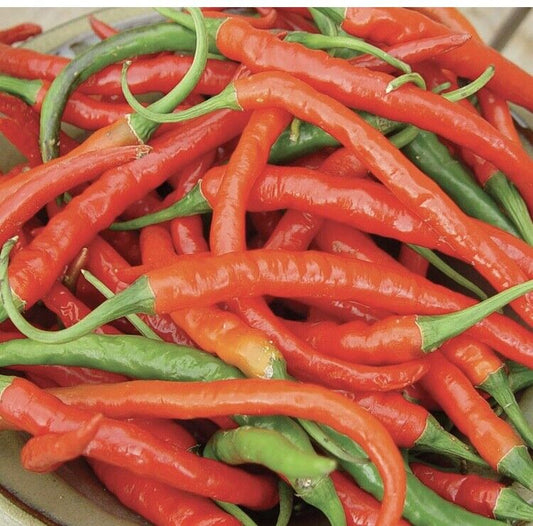 50+ Cayenne Pepper Long Red Slim Hot NON-GMO Vegetable Seeds | www.seedsplantworld.com