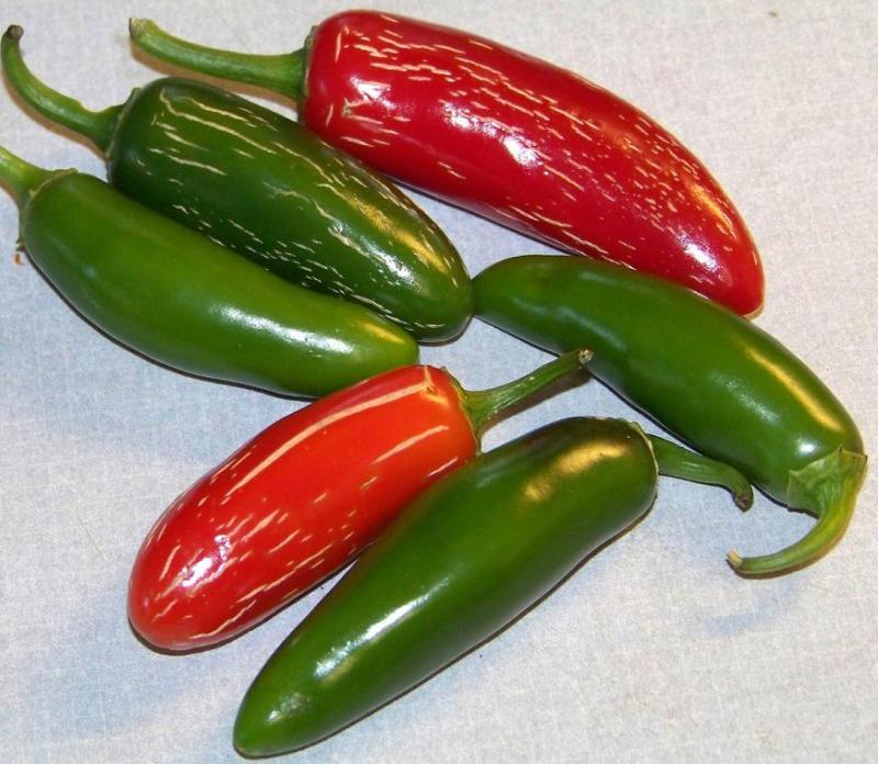 100 Pepper Jalapeno Hot Pepper Vegetable Seeds | www.seedsplantworld.com