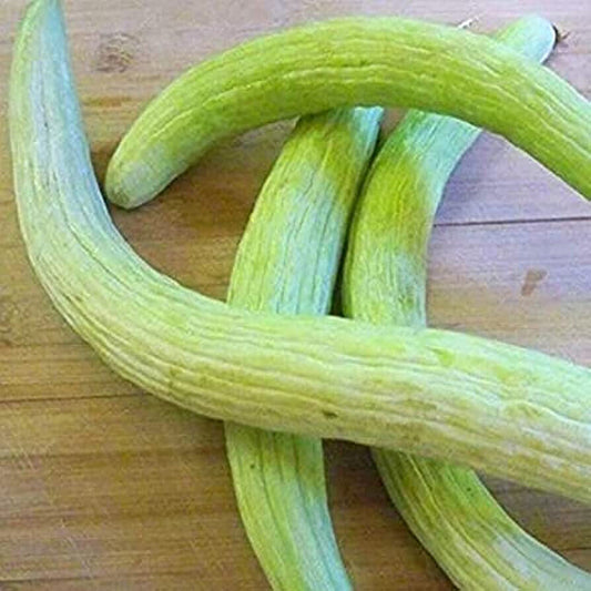 20 Melon Serpent Armenian Cucumber Vegetable Seeds | www.seedsplantworld.com