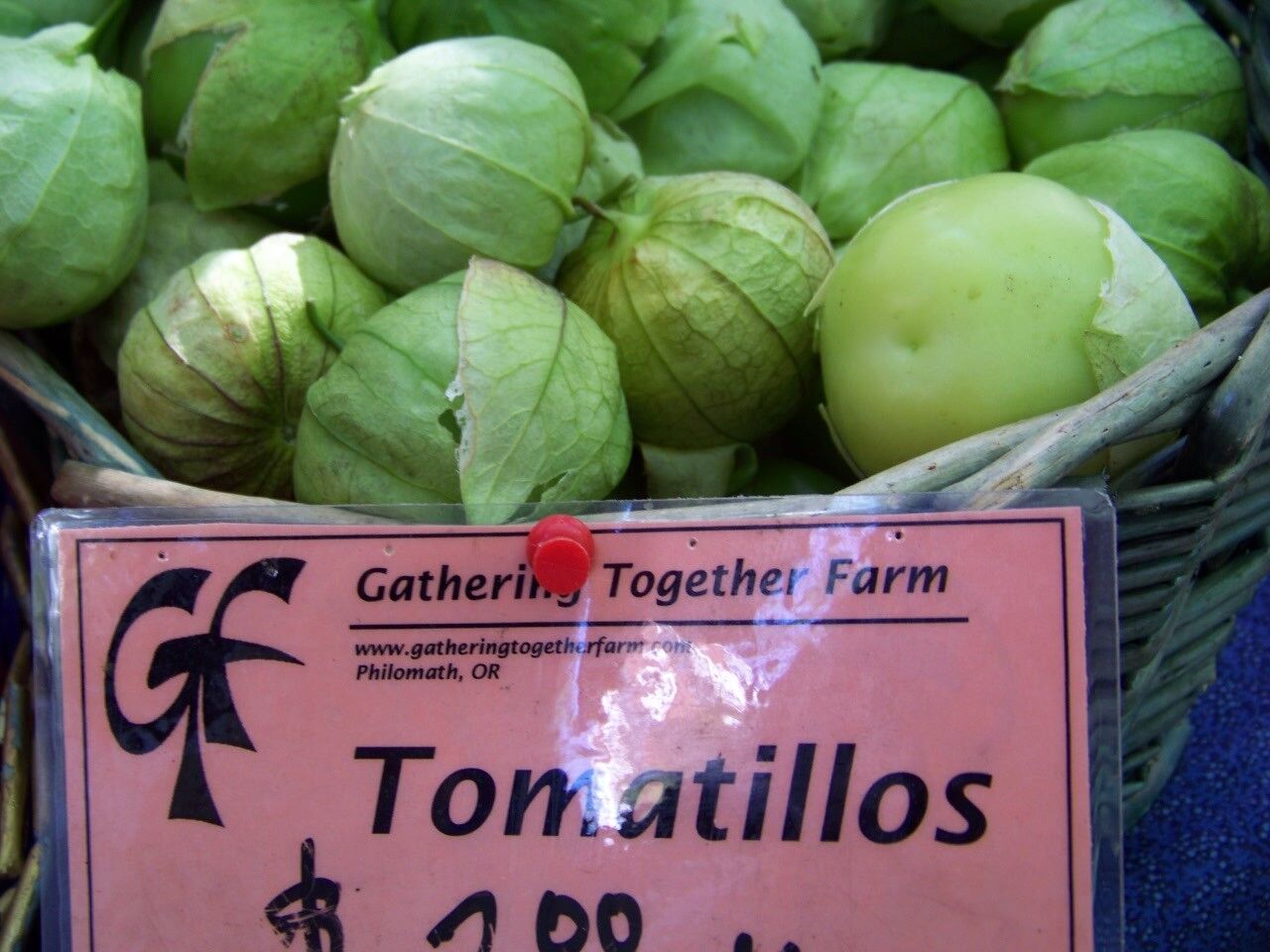 100 tomatillo TOMA VERDE for salsa Vegetable Seeds | www.seedsplantworld.com