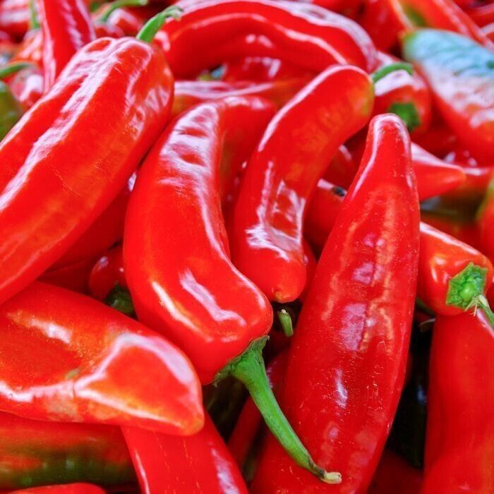 50+ Red Marconi Sweet Pepper Garden NON-GMO Vegetable Seeds | www.seedsplantworld.com