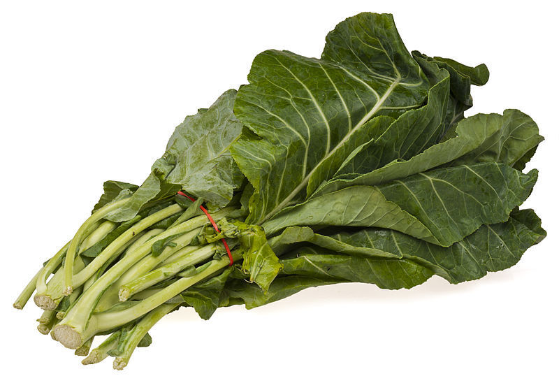 1000 Premier Kale Early Hanover Brassica Oleracea Greens Vegetable Seeds | www.seedsplantworld.com