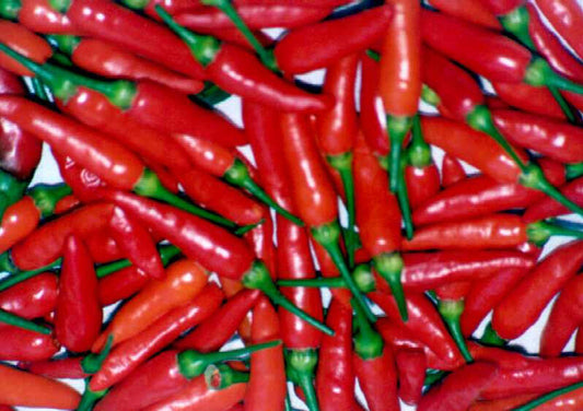 30 Pepper Tabasco Hot Pepper Vegetable Seeds | www.seedsplantworld.com