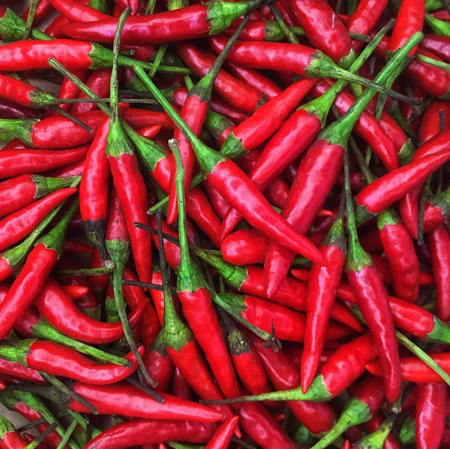 30 Thai Hot Pepper Seeds Non-GMO Vegetable Seeds | www.seedsplantworld.com