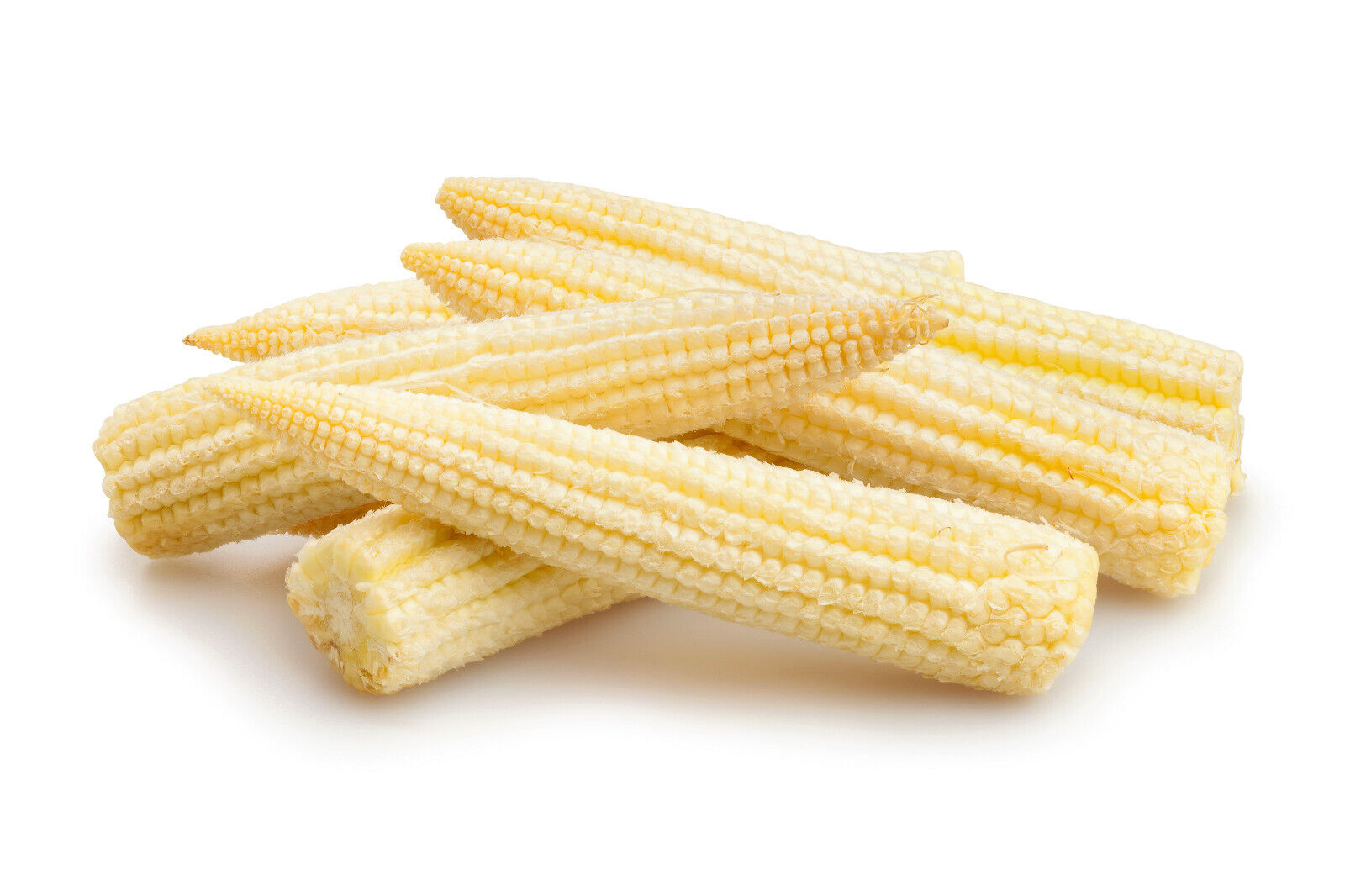 75 Japanese White Hulless Popcorn Or Baby Corn Zea Mays Heirloom Vegetable Seeds | www.seedsplantworld.com