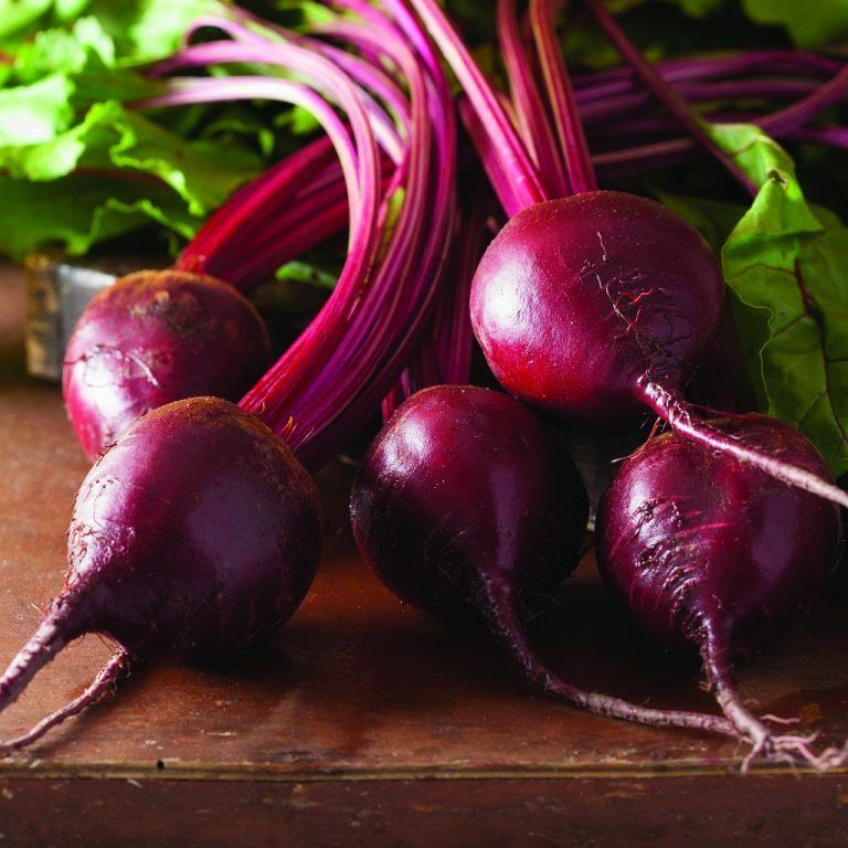 100 Ct Bull's Blood Beet Garden NON-GMO Vegetable Seeds | www.seedsplantworld.com