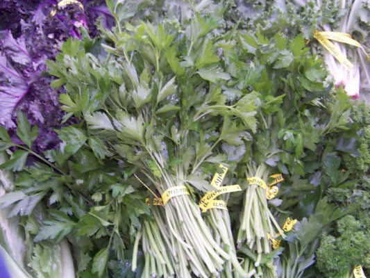 940 Parsley Herb And Garnish Herb Seeds | www.seedsplantworld.com