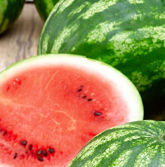 100 Cal Sweet Watermelon NON-GMO Heirloom Fruit Seeds | www.seedsplantworld.com