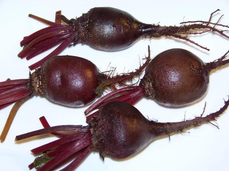 163 Beet Detroit Dark Red Vegetable Seeds | www.seedsplantworld.com