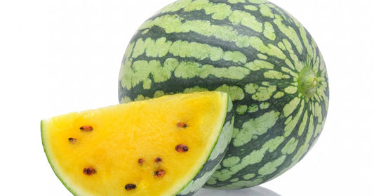 11 Watermelon Yellow Petite Heirloom Fruit Seeds | www.seedsplantworld.com