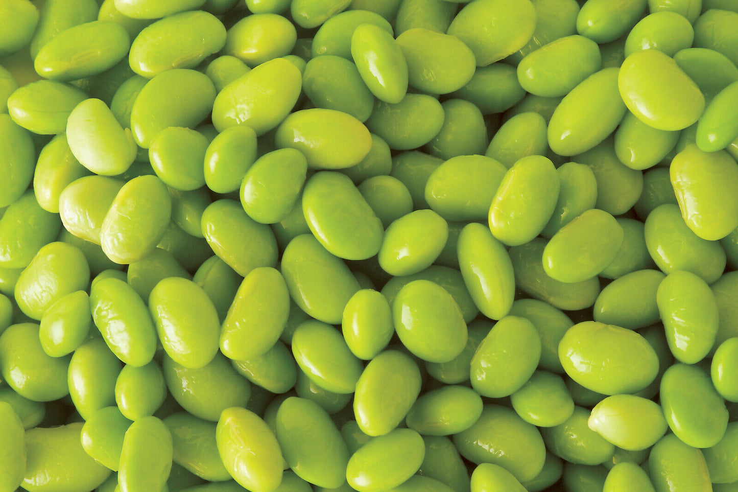 20 Edamame Green Envy Soybean Glycine Max Soy Bean Vegetable Seeds | www.seedsplantworld.com