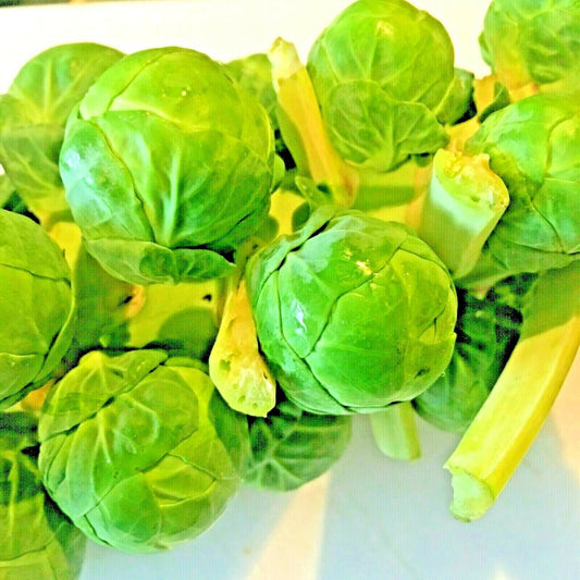 100 Brussels Sprouts Vegetable Seeds | www.seedsplantworld.com