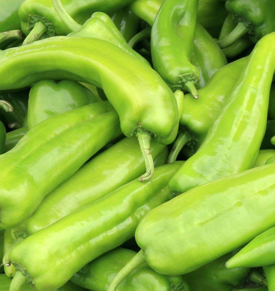 100+ Anaheim Chile Pepper NON-GMO Heirloom Vegetable Seeds | www.seedsplantworld.com