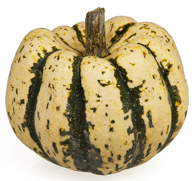 25 Sweet Dumpling Squash Delicata Cucurbita Maxima Vegetable Seeds | www.seedsplantworld.com