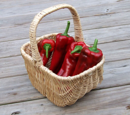 60 Red Marconi Pepper Rossa Large Sweet Italian Frying Capsicum Annuum Seeds | www.seedsplantworld.com