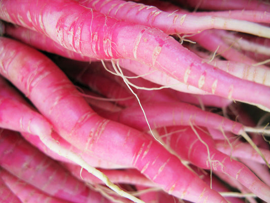 100 Pink Summersicle Radish Raphanus Sativus Root Vegetable Seeds | www.seedsplantworld.com