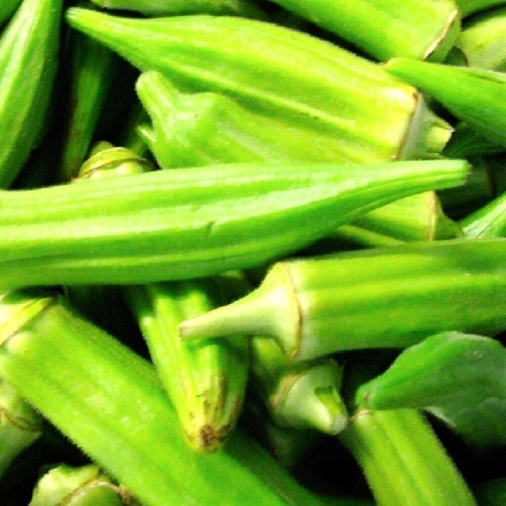 100 Clemson Spineless Okra NON-GMO Heirloom Vegetable Seeds | www.seedsplantworld.com