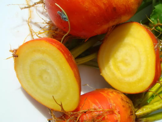 30 Burpee'S Golden Beet Beta Vulgaris Yellow Root Vegetable Seeds | www.seedsplantworld.com