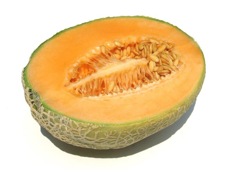 70 Cantaloupe Hales Best Jumbo Cantalope Vegetable Seeds | www.seedsplantworld.com