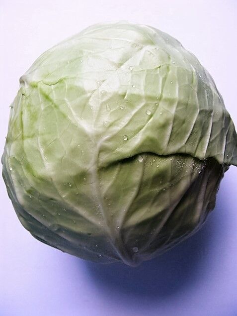 500 Copenhagen Market Early Cabbage Heirloom Brassica Oleracea Vegetable Seeds | www.seedsplantworld.com