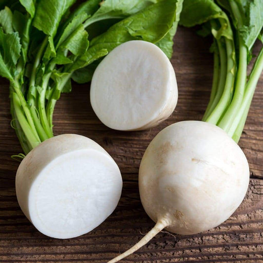 200 Ct Radish Hailstone White Garden NON-GMO Vegetable Seeds | www.seedsplantworld.com