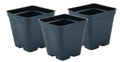 Square Pots 3.5" P86 Greenhouse Growing Vegetables, Herbs, Flowers (450 Pcs) | www.seedsplantworld.com