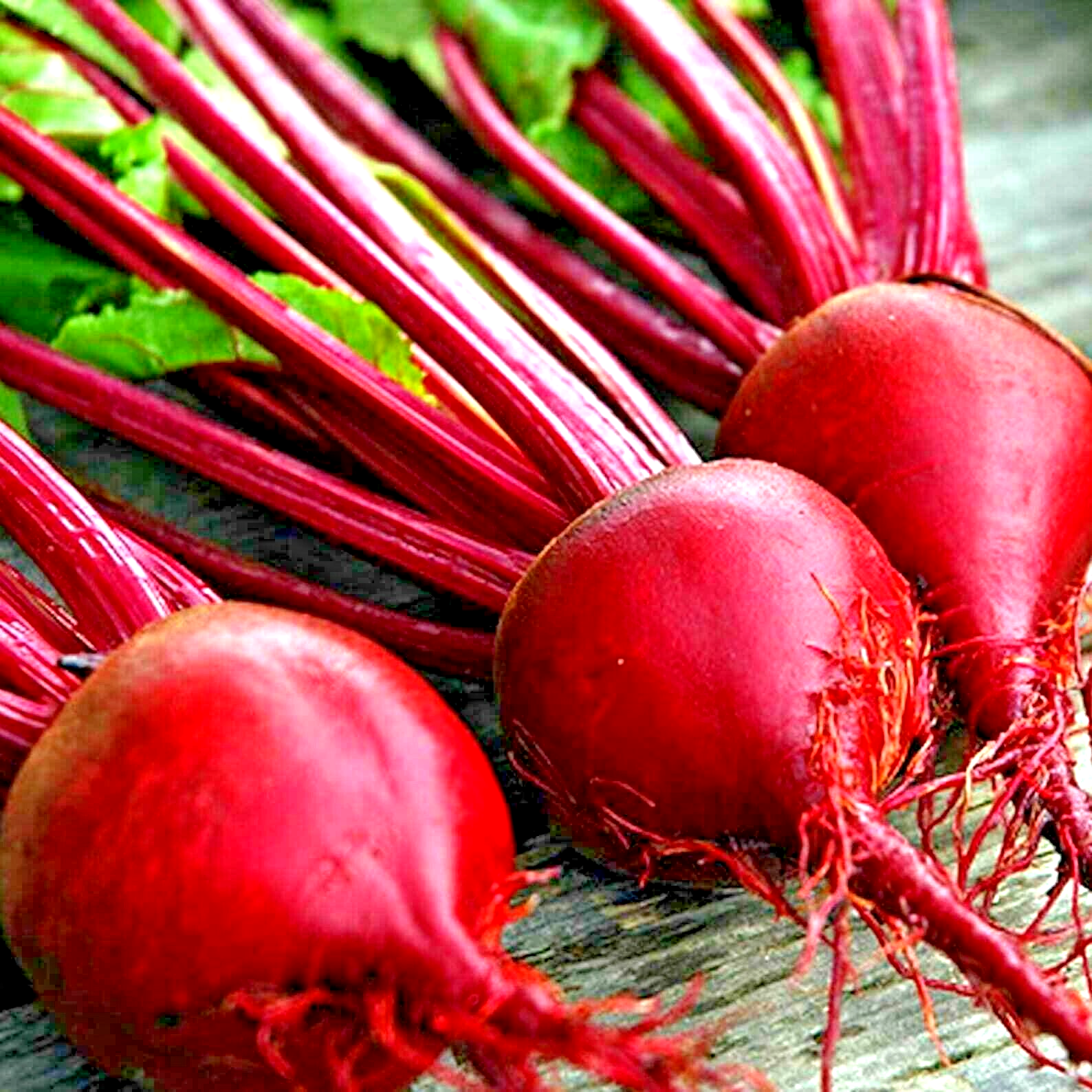 200 Detroit Beet Autumn Garden Beetroot Non-Gmo Heirloom Vegetable Seeds | www.seedsplantworld.com