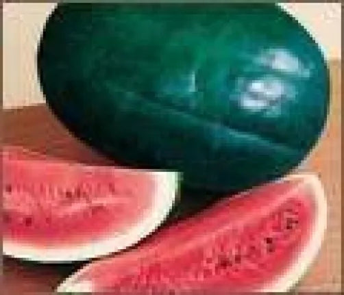 50 Florida Giant Watermelon Cannon Ball Black Diamond Citrullus Fruit Seeds | www.seedsplantworld.com