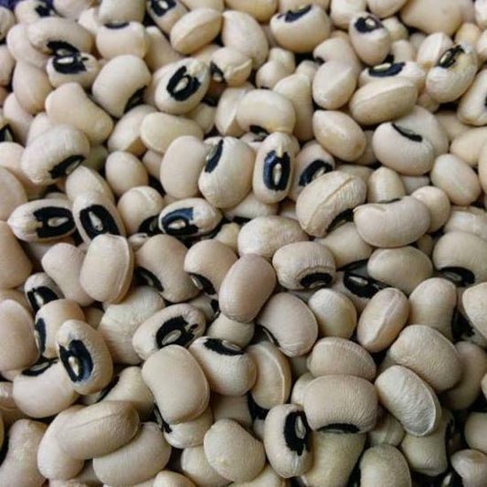 50 Ct California Blackeye Cowpea Legume Bush Garden Heirloom Vegetable Seeds | www.seedsplantworld.com