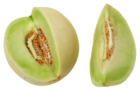 65 Melon Honey Dew Honeydew Non-Gmo Green Flesh Fruit Seeds | www.seedsplantworld.com