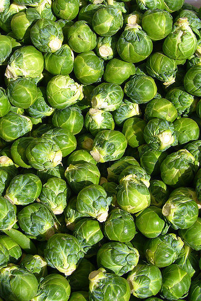 520 Brussel Sprouts Brussels Sprout Vegetable Seeds | www.seedsplantworld.com