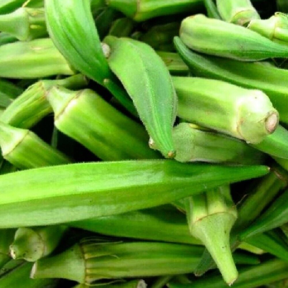 100 Emerald Okra NON-GMO Heirloom Vegetable Seeds | www.seedsplantworld.com