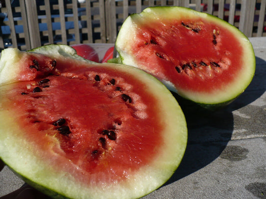 21 Watermelon Sugar Baby Fruit Seeds | www.seedsplantworld.com