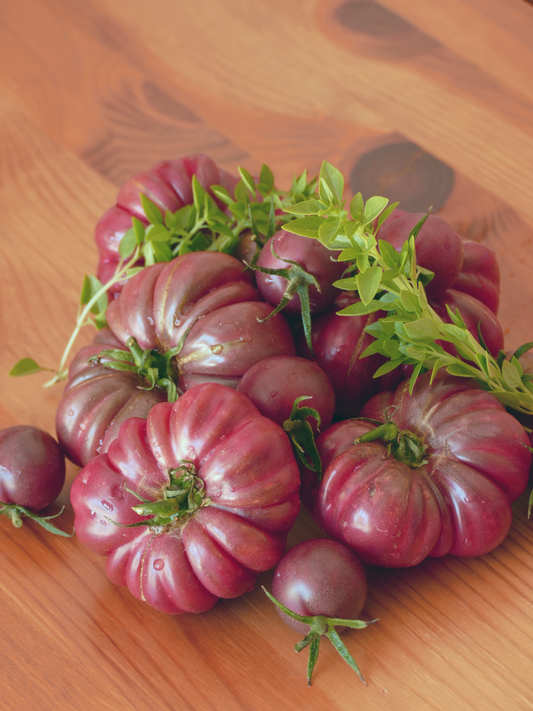 40 Purple Calabash Tomato Solanum Lycopersicum Indeterminate Heirloom Seeds | www.seedsplantworld.com