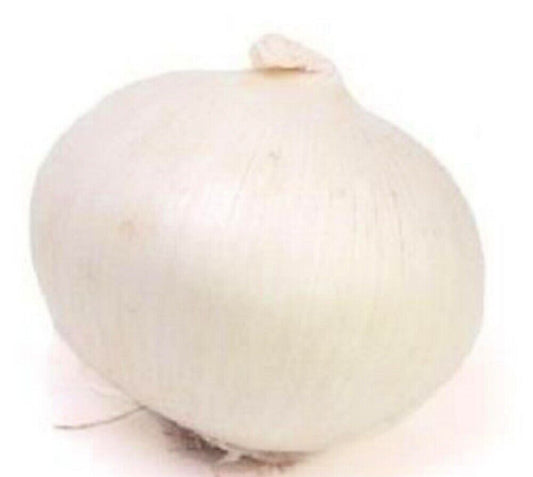 50 Eclipse L303 Onion NON-GMO Heirloom Vegetable Seeds | www.seedsplantworld.com